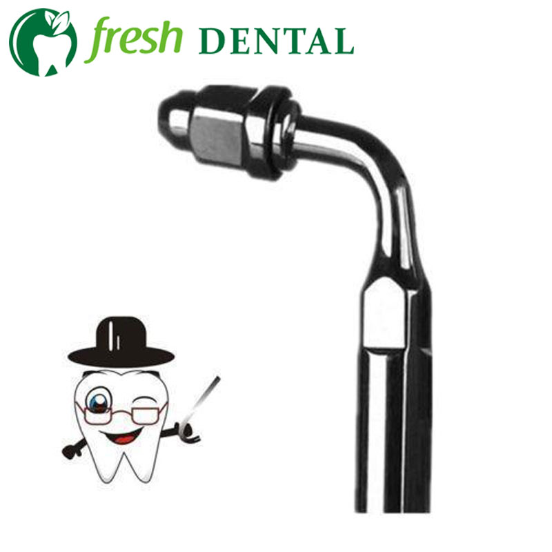10 Stück E2-Spitzen, 95 Winkel – Dental Ultrasonic Scaler Bewertung und Preis