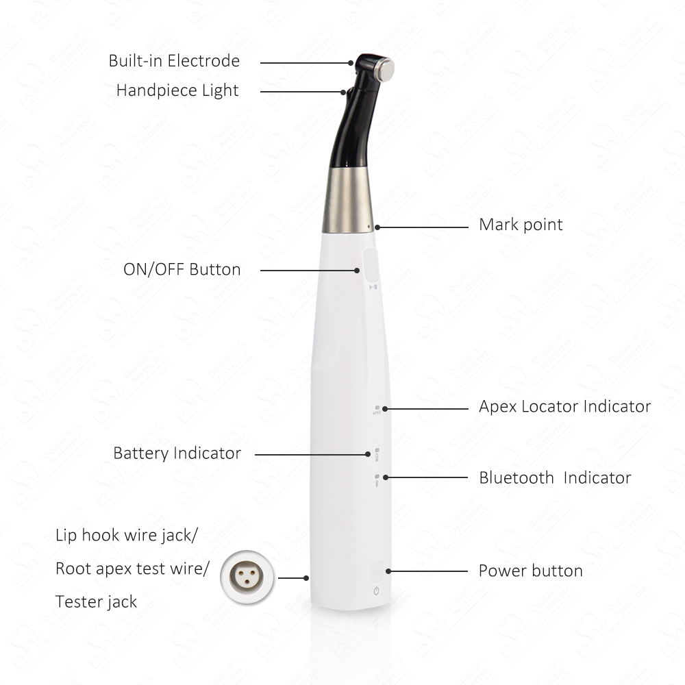 COXO Kabelloser Endo-Motor Ape – Dental Endo Motor Apex Locator Bewertung und Preis