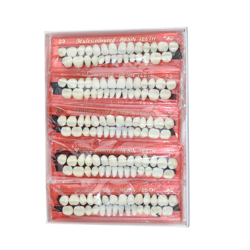 28 Zähne Dental Harz Prothese  – Dental 3D Printer Resin Bewertung und Preis
