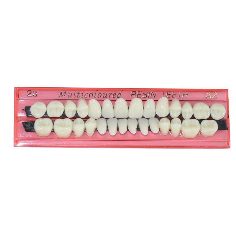 28 Zähne Dental Harz Prothese  – Dental 3D Printer Resin Bewertung und Preis