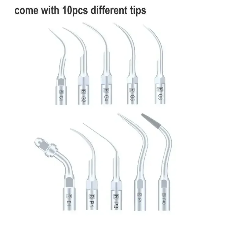 2025 LED-Handstück für Haustie – Dental Ultrasonic Scaler Bewertung und Preis