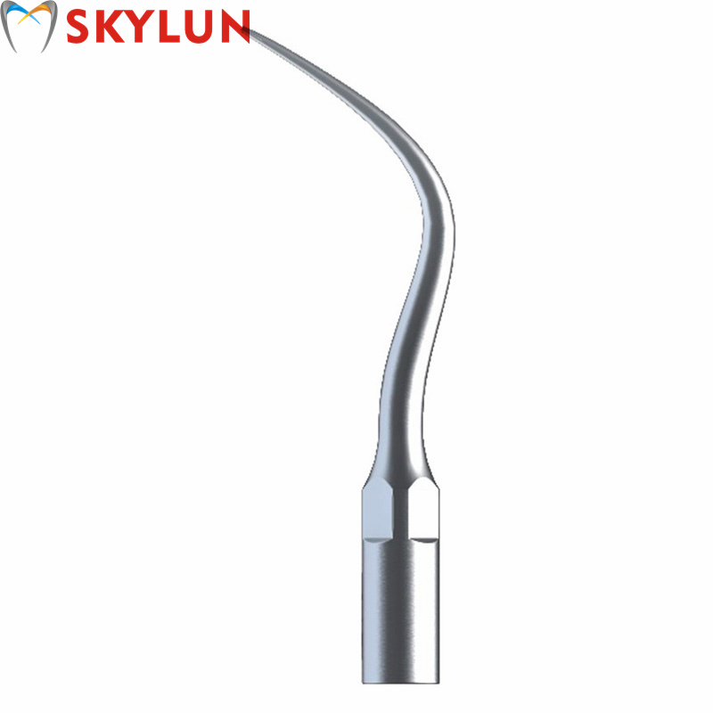 5 Stück P4 Dental Ultraschall- – Dental Ultrasonic Scaler Bewertung und Preis